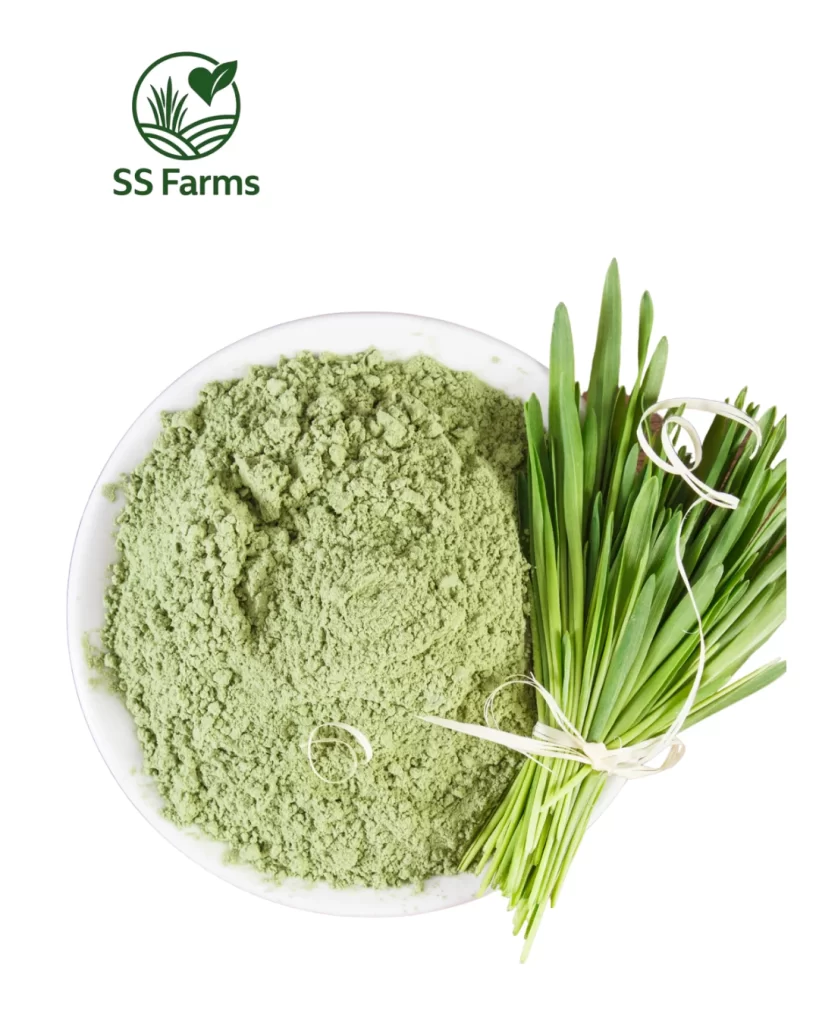 Benefits of wheatgrass powder for autoimmune diseases