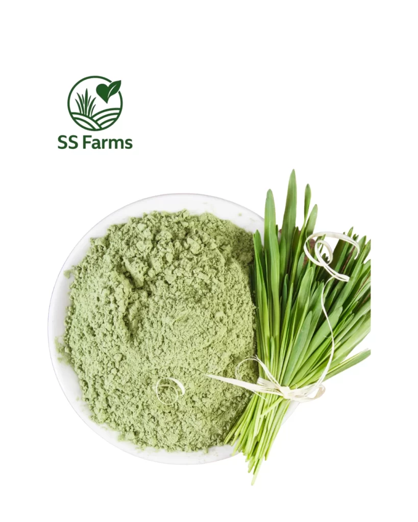 How to use wheatgrass powder for autoimmune symptoms