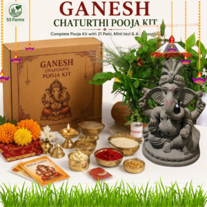 Ganesh pooja kit