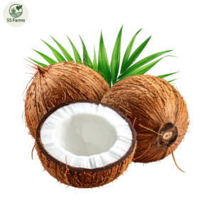 Coconut