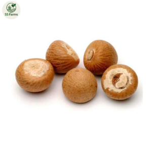 Betel Nuts