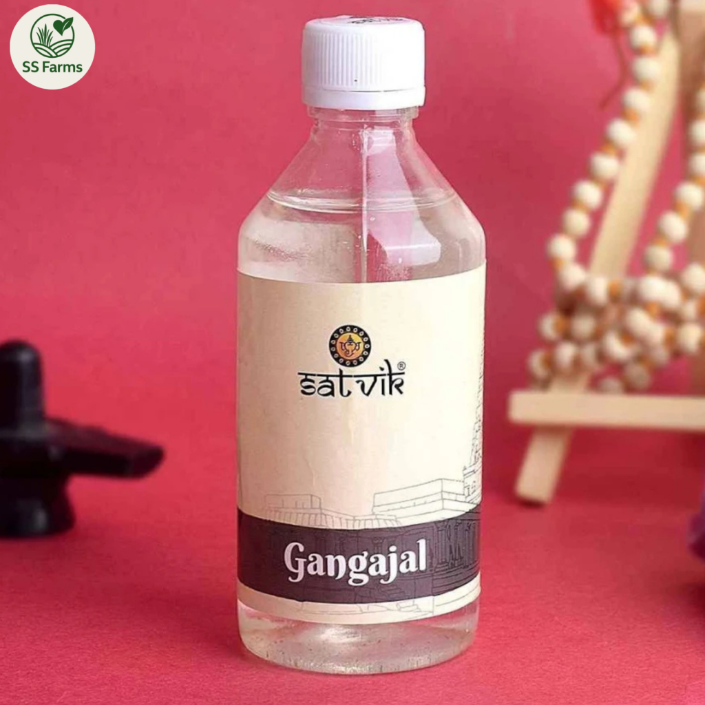 Ganga jalam