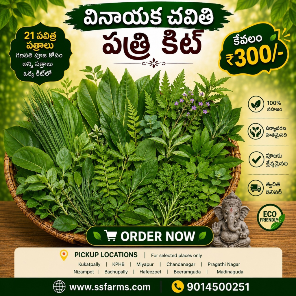 Vinayaka Chavithi Pooja Patri