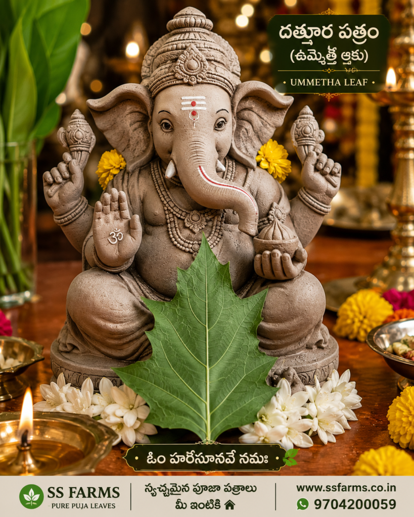 Datura metel Ummetha leaf with eco-friendly Ganesha idol for Ganesh Chaturthi puja
