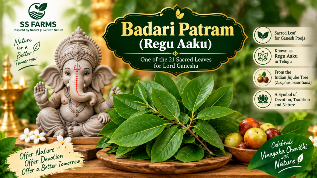 Badari Patram Regu Aaku for Vinayaka Chavithi Ganesh Pooja