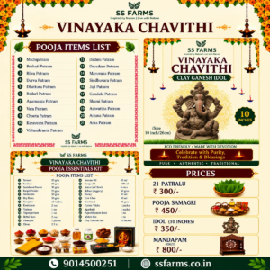Vinayaka Chavithi Pooja Kit with 21 Patralu, Pooja Samagri and Eco Friendly Clay Ganesh Idol - SS FARMS