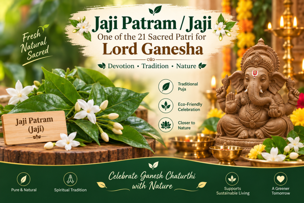 Jaji Patram or Jaji leaves for Ganesh Chaturthi 21 Patri Puja