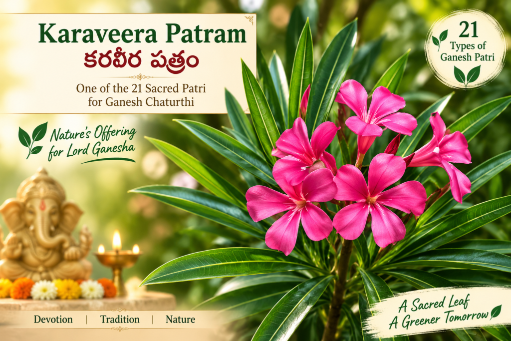 Karaveera Patram (Ganneru leaves and pink flowers) for Ganesh Chaturthi Puja, one of the 21 traditional Ganesh Patri offerings, with Lord Ganesha and diya in the background.