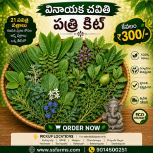 21 Patralu Pooja Kit for Vinayaka Chavithi – SS FARMS